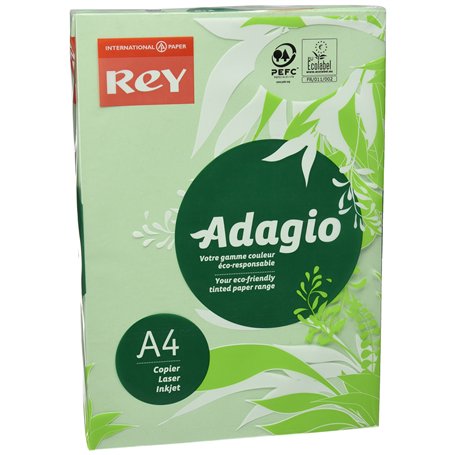 Rey Adagio Ramette de 250 feuilles papier couleur pour imprimante laser/jet d'encre/copieur 160g Format A4 Vert vif