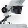 AmScope 20 x 40 x 80 x Home School de Dissection pour étudiants Microscope binoculaire stéréo avec Transmission Incident Double 