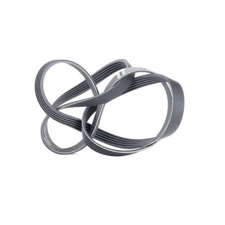 Continental Contitech 5PK1765 Courroie trapézoïdale à nervures