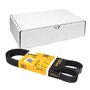 Continental Contitech 6PK1145 Courroie trapézoïdale à nervures