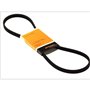 Continental Contitech 4PK1125 Courroie trapézoïdale à nervures