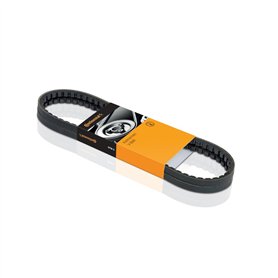 Continental Contitech 6PK915 Courroie trapézoïdale à nervures