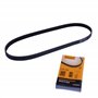 Continental Contitech 6PK1125 Courroie trapézoïdale à nervures
