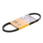 Continental Contitech AVX10X600 Courroie trapézoïdale