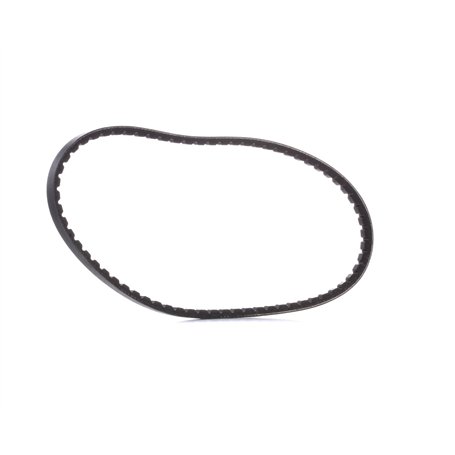 Continental Contitech AVX10X725 Courroie trapézoïdale