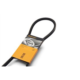Continental Contitech AVX10X1125 Courroie trapézoïdale