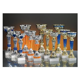 Lot de 12 Coupes trophées recompenses Entre 19 et 24 cm
