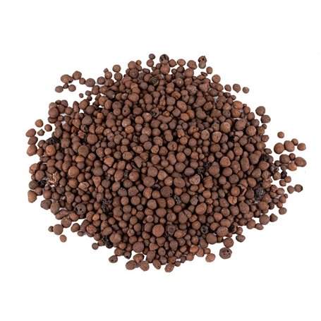 Reptiles Planet - Repticlay - Billes d'Argile Ø 2 à 3 mm - Substrat Naturel Drainant - 6L