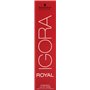 Schwarzkopf Igora Royal 4-6 Coloration 60 ml