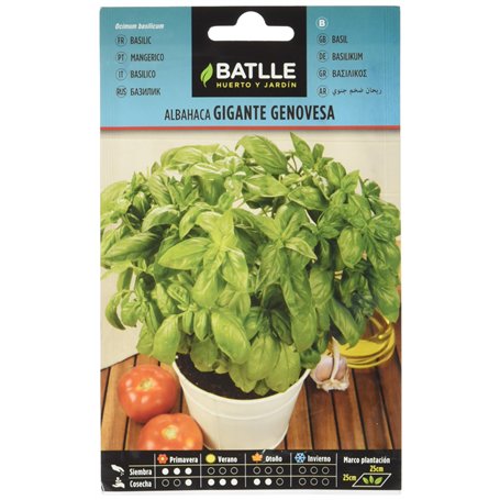 Graines aromatiques de Batlle - Basilic géant génois (4g)