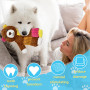 LECHONG 5 Jouets pour Chien en Peluche, Jouets à Couiner Câlins Crissant pour Chiens de Toutes Tailles et Chiots, Lot de Jouet S
