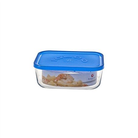 Borgonovo Igloo Boîte hermétique rectangulaire 19 cm 1 300 ml