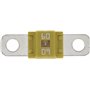 Restagraf - Fusible Midi - Protection Circuit Électrique de 60 A et 58 V - Pour l'Automobile et l'Industrie - Réf. 225081 - Blis