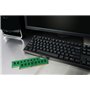 Kingston Branded Memory 8GB DDR31600MT/s DIMM Low Voltage Module KCP3L16ND8/8 Mémoire de bureau