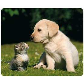 CHAT ET CHIEN Tapis de souris (24 x 19 cm) en caoutchouc spécial extrêmement résistant à la déchirure avec une face inférieure f CHAT ET CHIEN Tapis de souris (24 x 19 cm) en caoutchouc spécial extrêmement résistant à la déchirure avec une face inférieure f