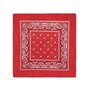 Lot de 5 bandanas paisley rouges