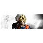 Dragonball Xenoverse 2