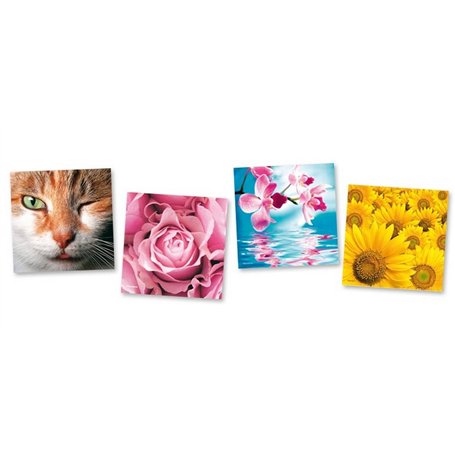 LOT DE 5 CARTES POSTALES HD PAILLETEES SANS TEXTE "MACRO NATURE" 146 x 146 mm AVEC ENVELOPPES + 1 STYLO BLUMIE