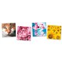 LOT DE 5 CARTES POSTALES HD PAILLETEES SANS TEXTE "MACRO NATURE" 146 x 146 mm AVEC ENVELOPPES + 1 STYLO BLUMIE