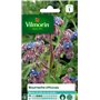 Vilmorin 5873545 Bourrache officinale Violet 9 x 0