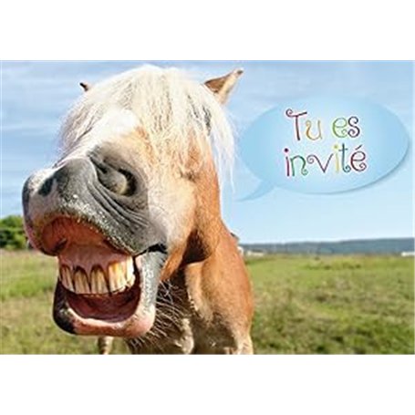 Edition Colibri (10619 FR 10 invitations en Français Cheval drôle: lot de 10 cartes d'invitation tendres et illustrées avec un c