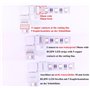 LitaElek 10pcs Connecteur d'angle Bande LED 5 Broches pour RGBW LED Strip de 10mm Large Connecteur en Forme de L Ruban LED RGBW 