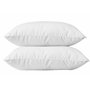 Lot de 2 oreillers 60 x 60 cm Blanrêve Gamme Microfibre Douceur traité Anti Acarien