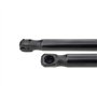 Frankberg 2x Ressorts à Gaz pour Hayon Compatibles avec Focus II DA HCP DP Tous Moteurs 2004-2012 Remplacer# 4M51A406A10AB