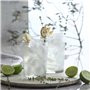 LAV Bodega Highball Cocktail Lunettes Tumbler - 520ml - Lot de 6