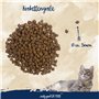 Sanabelle Kitten | Aliments secs pour chats en pleine croissance, en gestation ou en lactation | 1 x 10 kg
