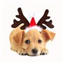 Cerceau tête de noël Chien égouttoir à Nourriture Bandeau en Bois de Chien Animal de Compagnie Animaux domestiques décor de Band