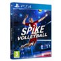 Spike Volleyball