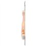 Brosse à dents Oral - B manuelle pour enfants avec personnages de Winnie l'ourson 0-2 ans, poils extra doux, couleurs assorties