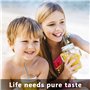 pailles métalliques réutilisables avec 2 pinceaux de nettoyage pour smoothies