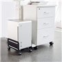 Maclean MC-851 Support Universel pour Ordinateur Portable avec roulettes et Support pour Ordinateur jusqu'à 10 kg