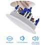 Herdio 5,25 Pouces Enceinte encastrable Plafond (8 ohms 300 Watts)