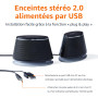 Amazon Basics Haut-parleurs stéréo 2.0 pour PC ou ordinateur portable, entrée auxiliaire 3,5 mm, alimentation USB, 1 paire, noir