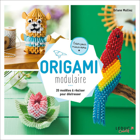 Origami modulaire: 20 modèles à réaliser pour déstresser