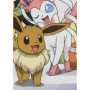 Couverture Sherpa - POKEMON - Evolutions - 100 x 150 cm
