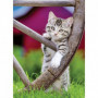 Puzzle 2x500 pieces - Les chatons a la campagne - Puzzle adultes Ravensburger - 41,99 €