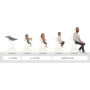 Chaise haute - HAUCK - BETA+ - Evolutive - De 6 mois a 90 kg - Bois FSC - Harnais 5 points - Roulettes - Whitewashed