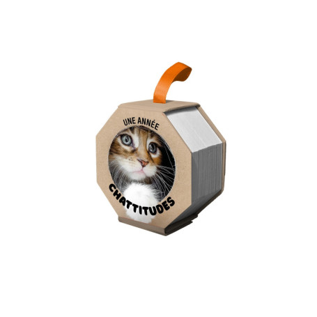 Ephéméride - Une année chattitudes