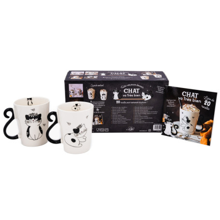 2025, COFFRET CHAT VA TRES BIEN !