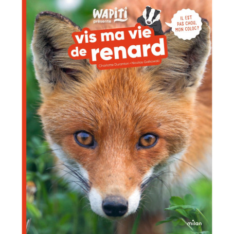 Vis ma vie de renard