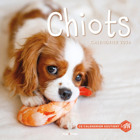 Calendrier mural Chiots 2026