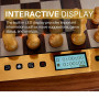 Ordinateur d'échecs MILLENNIUM The King Performance M830 - Esthétique, facilité d'utilisation et fonctionnalité Polyvalente Parf