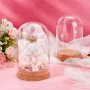 PH PandaHall Lot de 4 dômes en verre transparent avec base en liège - Bocaux décoratifs pour objets de collection, figurines de 