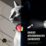 Kittytag Collier Chat avec Accessoire Compatible avec Airtag Apple,Réfléchissant et Lumineux GPS Chat avec Anti étranglement,Rég