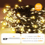 SALCAR Guirlande Lumineuse LED à Grappes pour Arbre de Noël, 20m 800 LEDs Éclairage de Noël avec 8 Modes, Imperméable IP44 Guirl