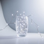 PCORES Les Lumières Fées Branchables, 30mètre 1000LED Blanc Froid Fil Argenté Feux d'Artifice Lucioles avec Commande à Distance,